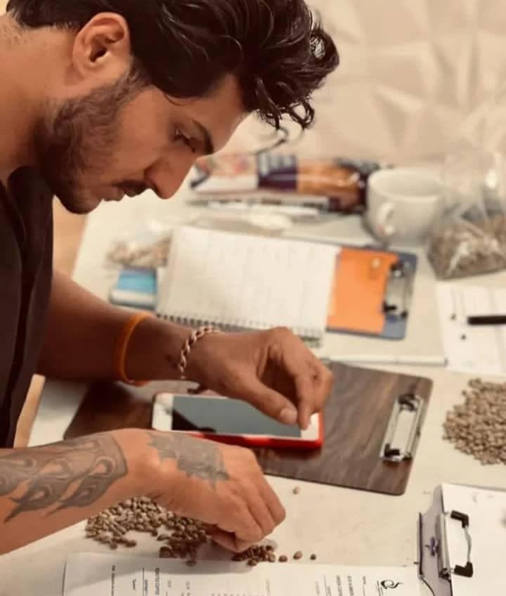 پخش تولید قهوه ملایجردی در نقاب