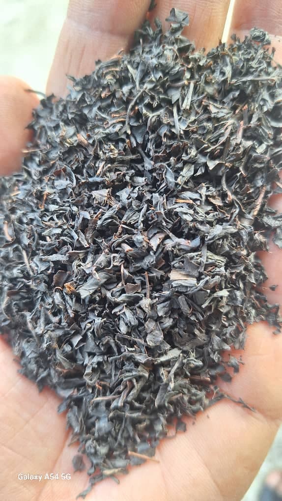 پخش و فروش چای لاهیجان گیلماز در رودسر