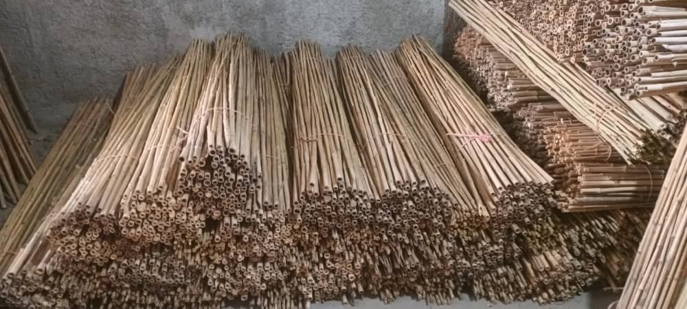 فروش چوب بامبو محمدعلی امیدی در فومن