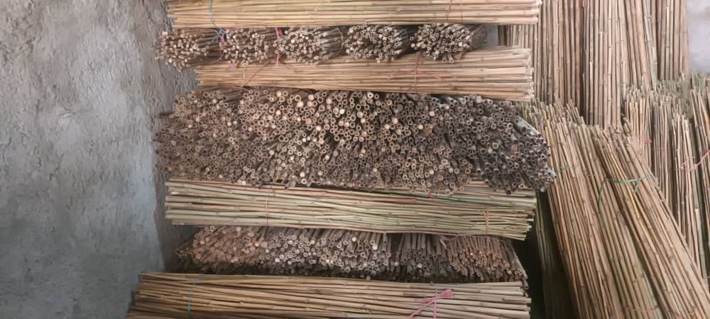 فروش چوب بامبو محمدعلی امیدی در فومن