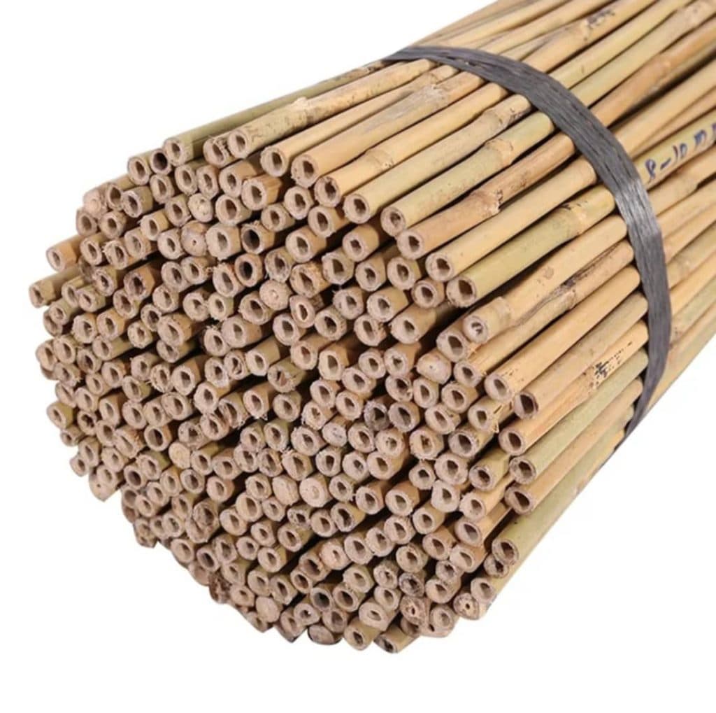 فروش چوب بامبو محمدعلی امیدی در فومن