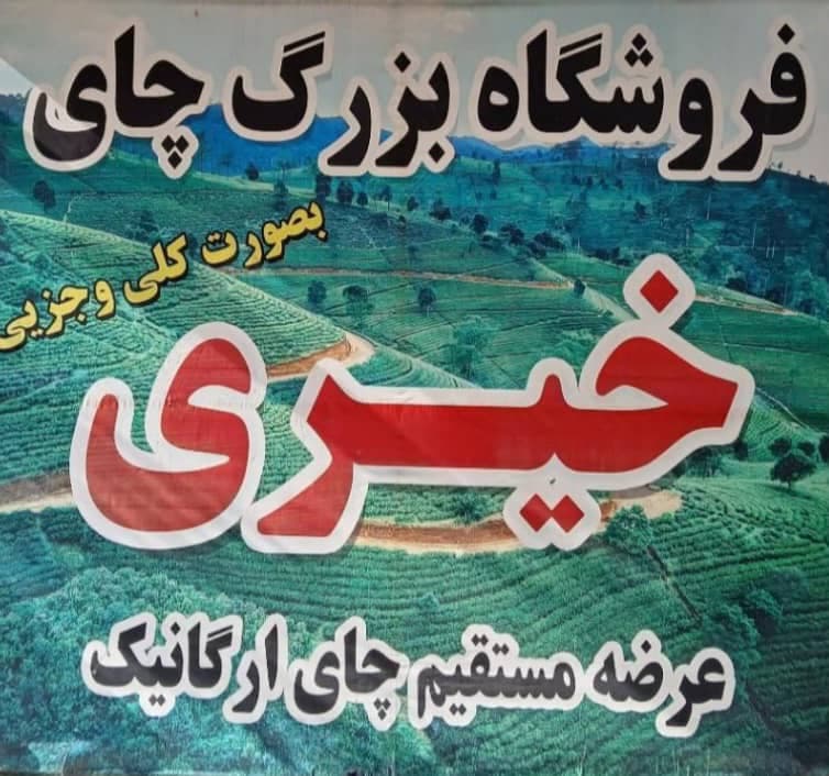 فروش عمده و فله چای ارگانیک خیری در لاهیجان