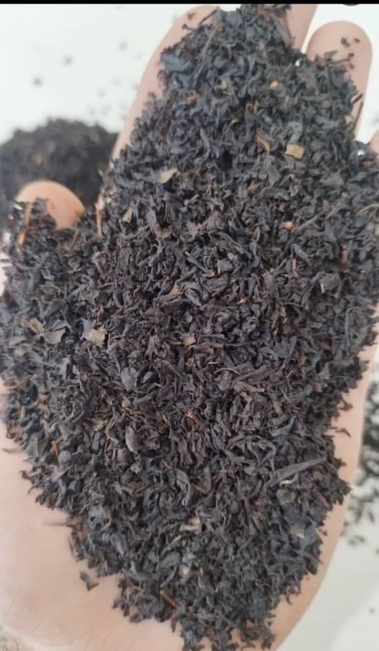 فروش عمده و فله چای ارگانیک خیری در لاهیجان