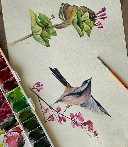 آموزشگاه نقاشی نیل در شهران شمالی تهران