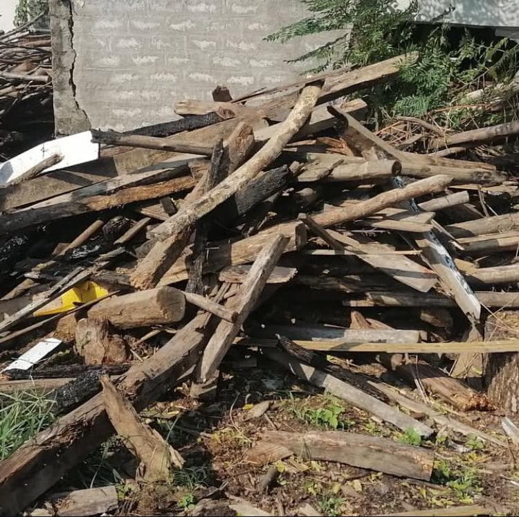 خرید و فروش چوب محمدی نیشابور