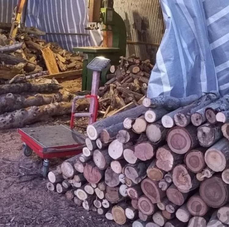 خرید و فروش چوب محمدی نیشابور