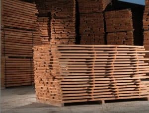 فروش چوب راش قلی پور در بابل