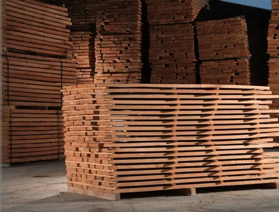 فروش چوب راش قلی پور در بابل