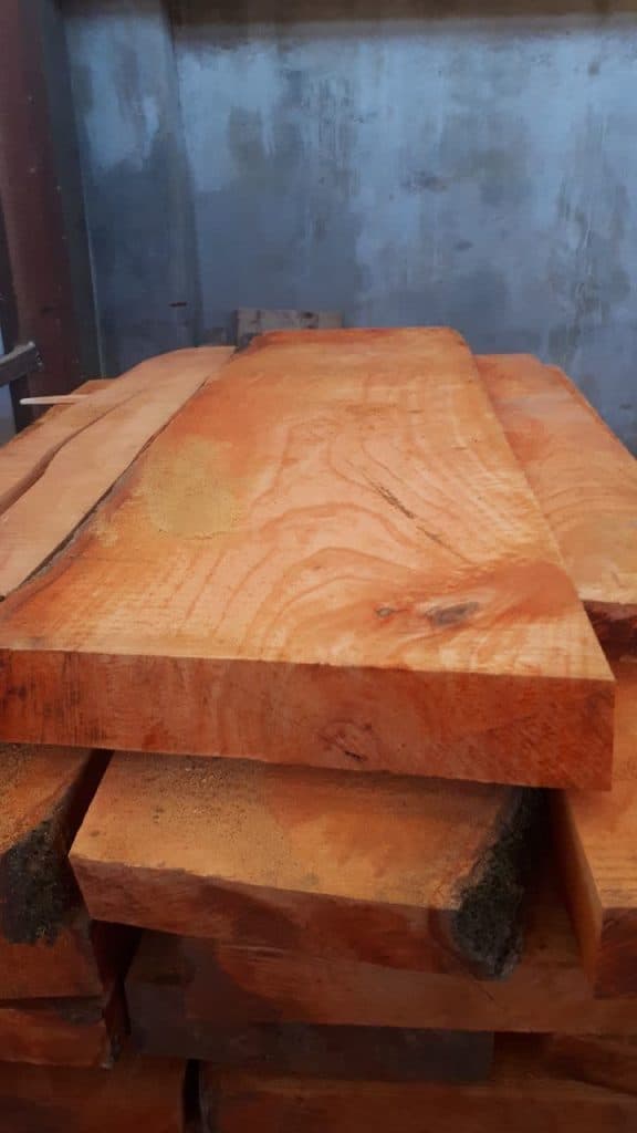 فروش چوب راش قلی پور در بابل