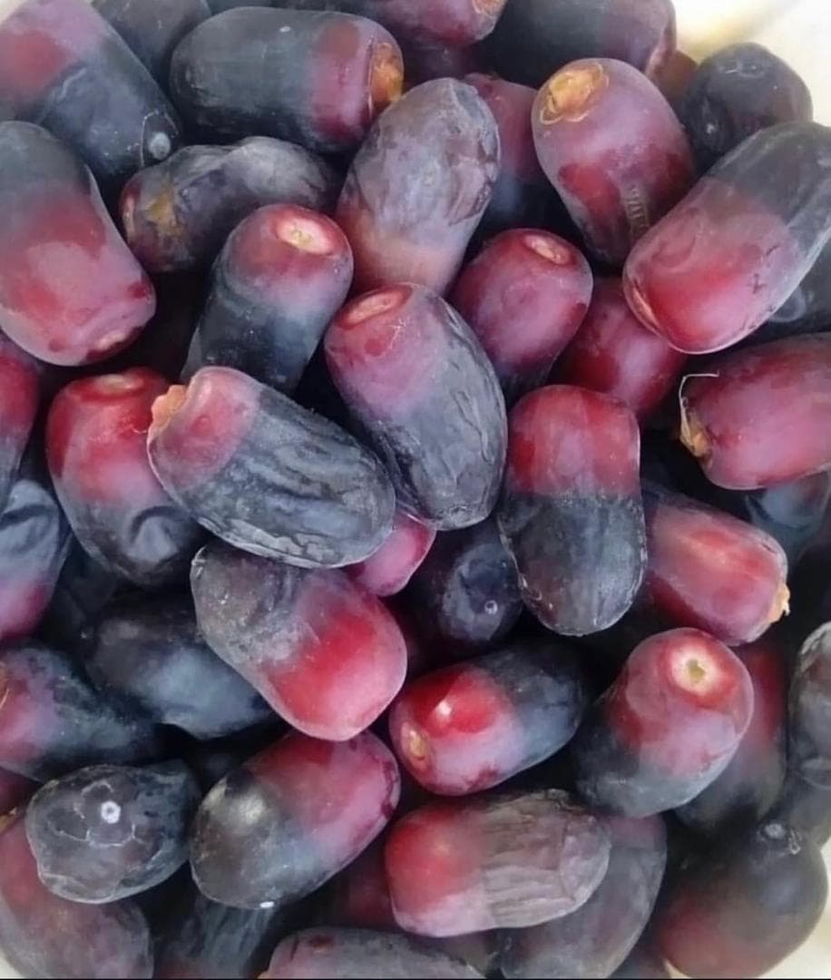 صادرات تولید و پخش عمده خرما مضافتی بم امینی در تهران