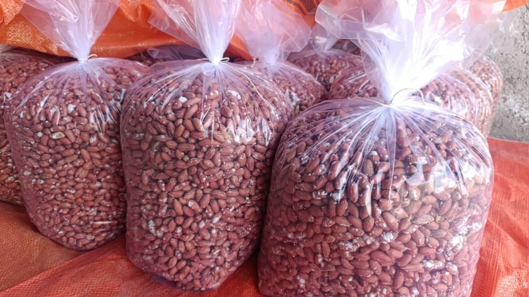 تولید و فرآوری بادام زمینی و کره نادر در مغان اردبیل