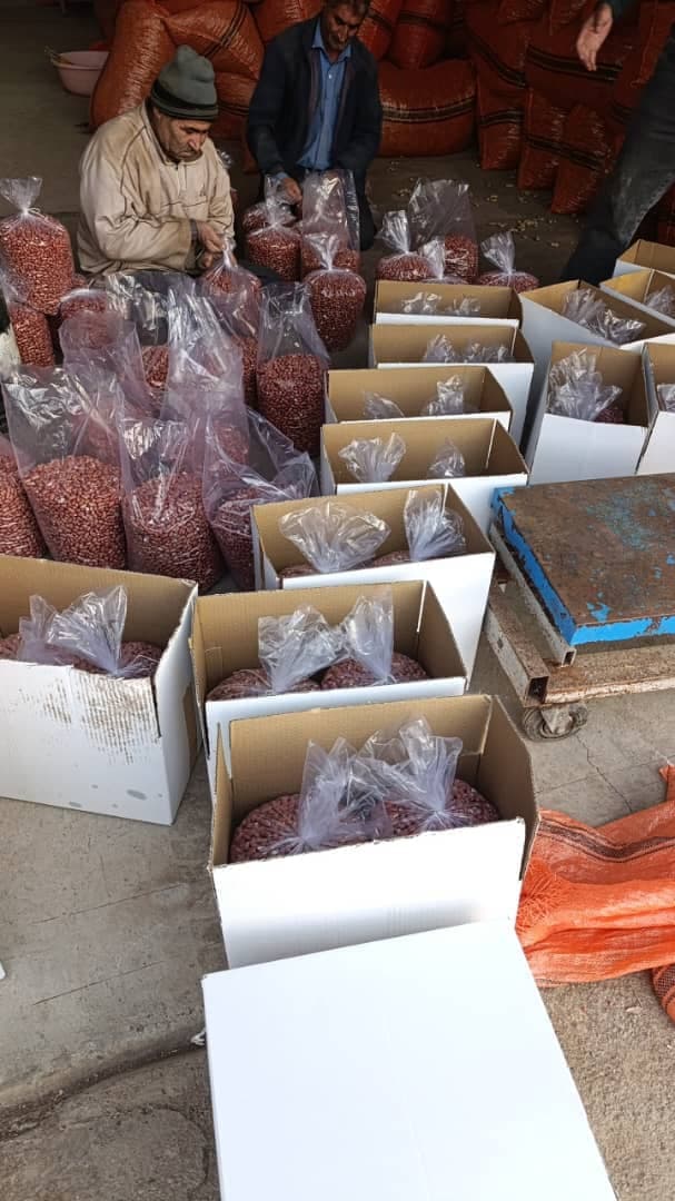 تولید و فرآوری بادام زمینی و کره نادر در مغان اردبیل