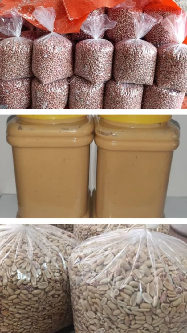 تولید و فرآوری بادام زمینی و کره نادر در مغان اردبیل