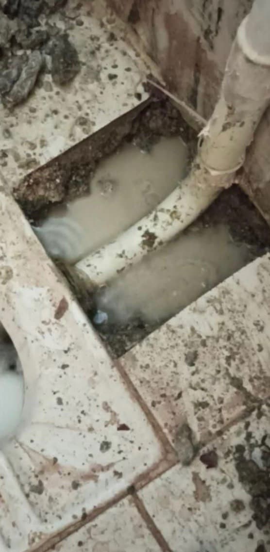 تاسیسات ساختمانی نامی در بوشهر