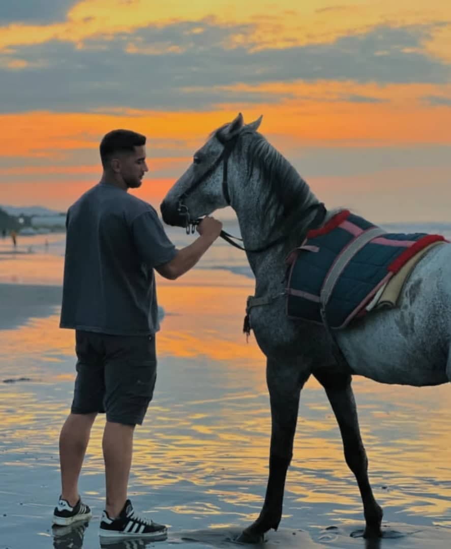 باشگاه سوارکاری آتور در بندر انزلی