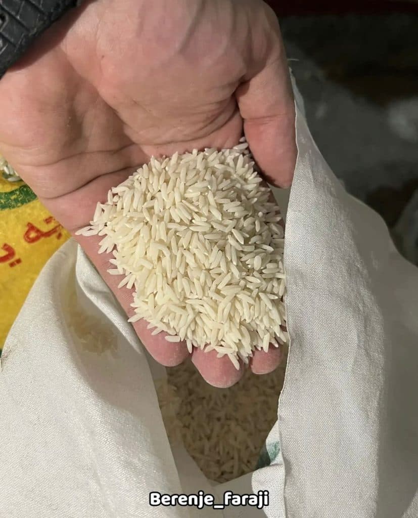 کارخانه تولید برنج هاشمی و دم سیاه و فجر و لاشه مهران فرجی در ماسال گیلان