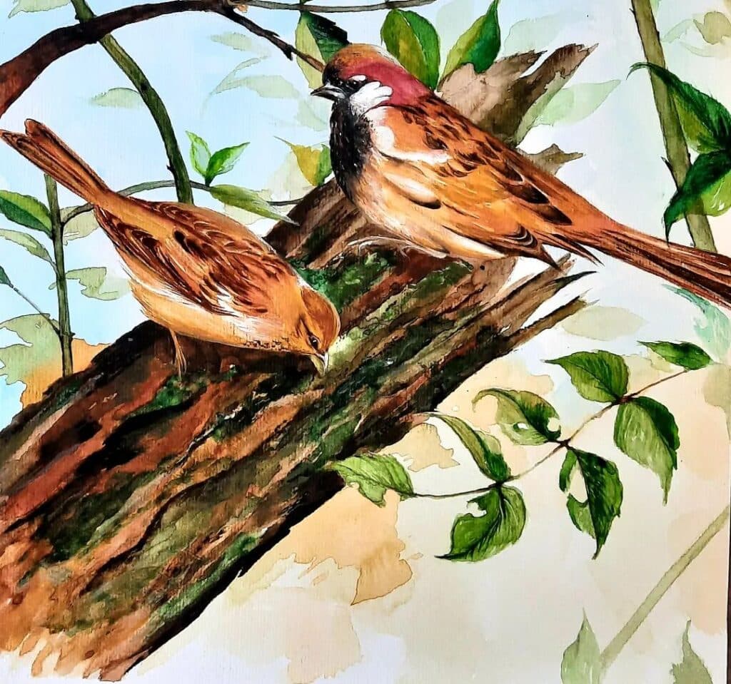 مدرس آموزش و طراحی و نقاشی سیاه قلم و دکوراتیو پتینه محمودی در شیراز