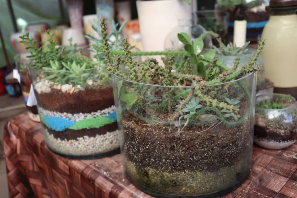 مجتمع فنی و حرفه ای علم و صنعت شیراز