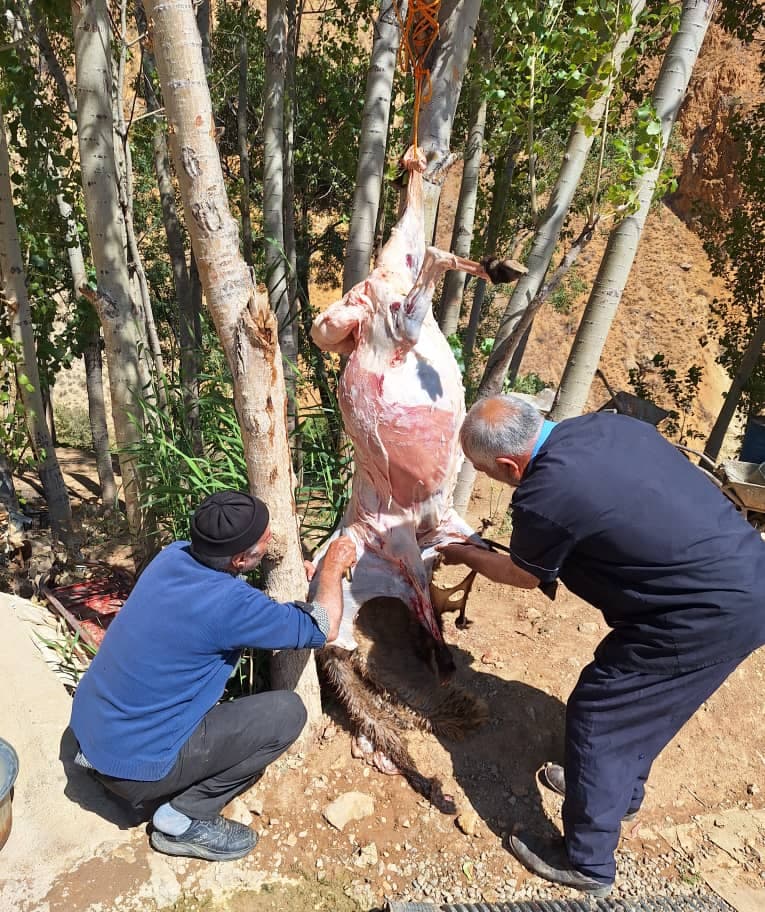 اقامتگاه بومگردی و کمپینگ گردشگری آبشار گل آخور در ورزقان