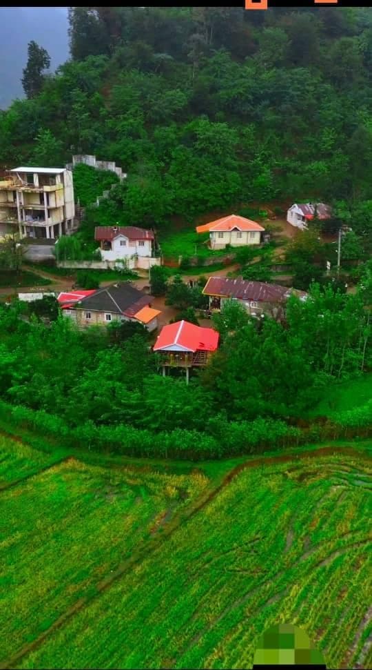 اجاره کلبه چوبی جعفر نژاد در ماسال