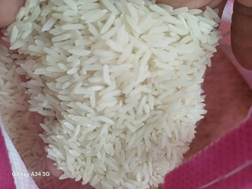 پخش مستقیم برنج هاشمی و طارم بازرگانی مهر ماندگار در غرب تهران