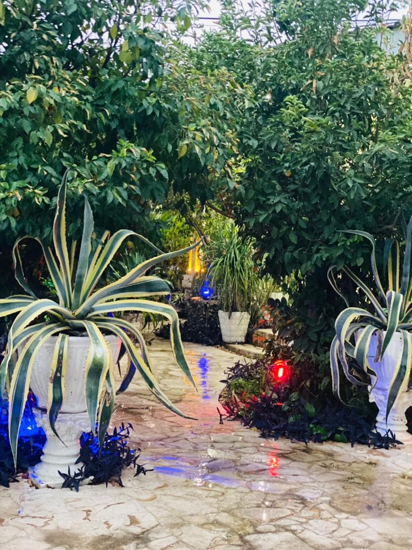 اجاره ویلا استخردار نگین خاطره در دزفول