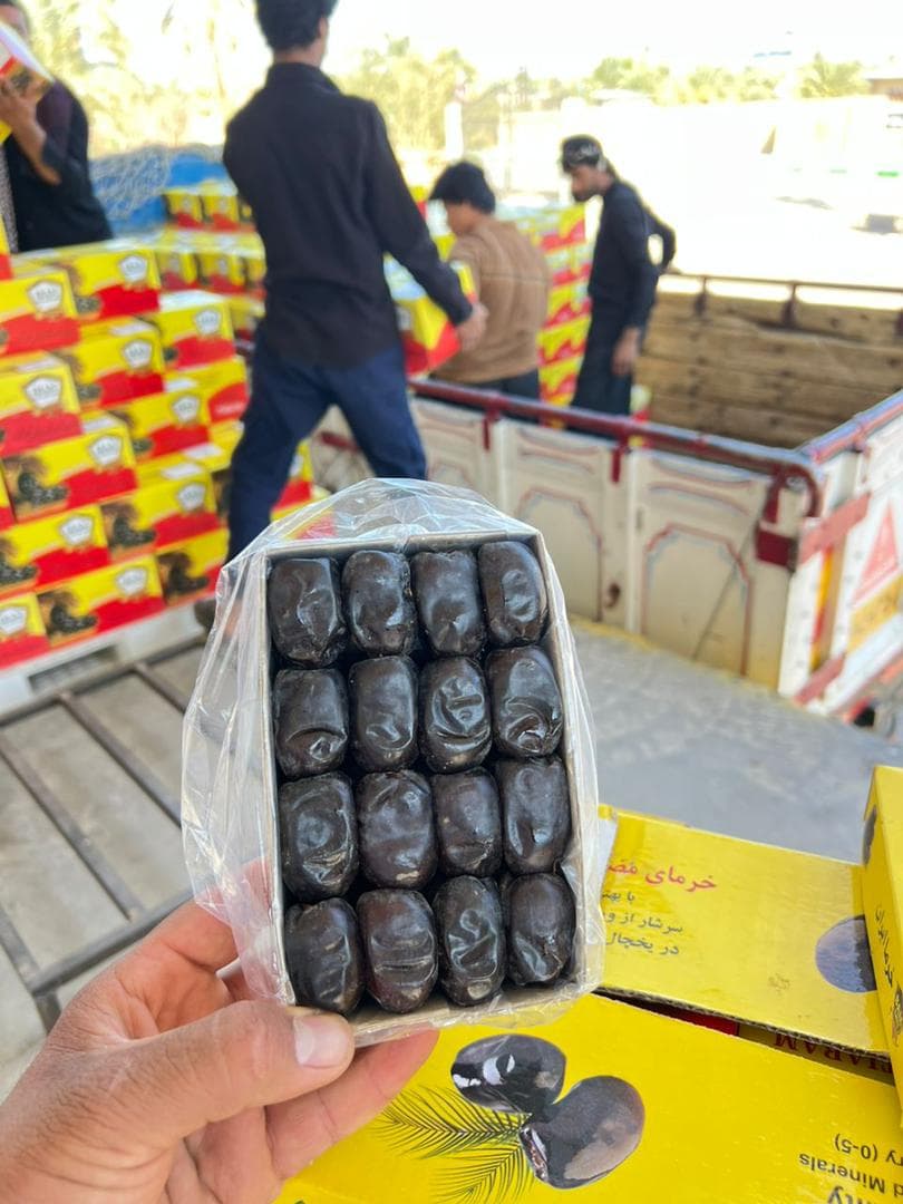 صادرات تولید و پخش عمده خرما مضافتی بم امینی در تبریز