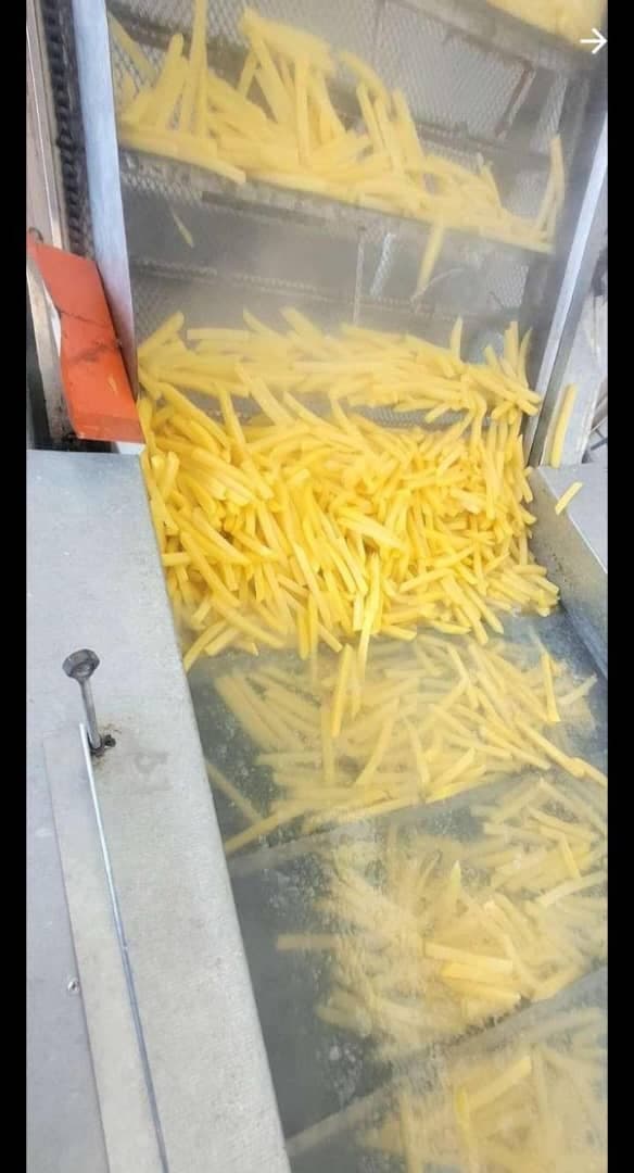 تولید و فروش خلال سیب زمینی اصغری بهار در همدان