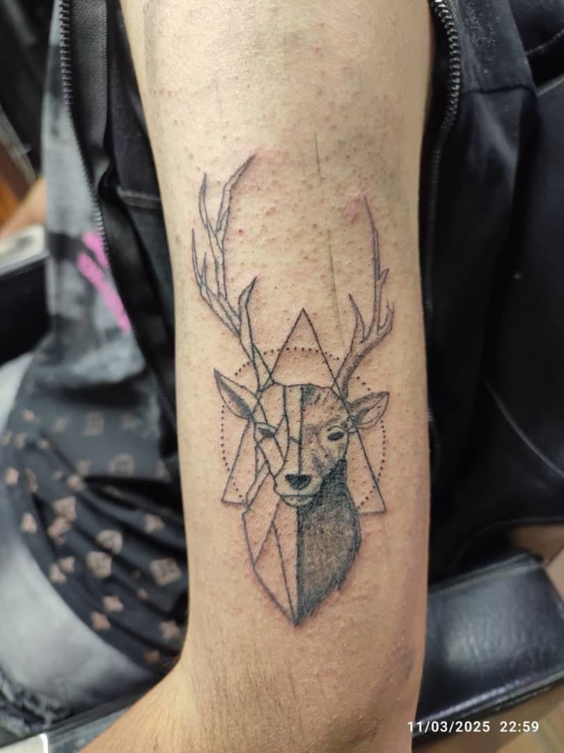 ثبت تتو مهدی عمارلو در نیشابور