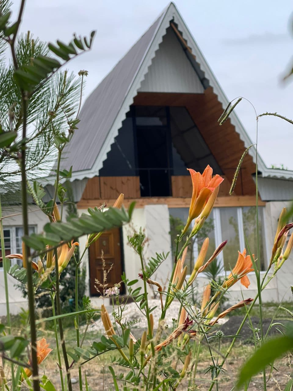 اجاره سوئیت ویلا استخردار گردشگری مروارید در تالش