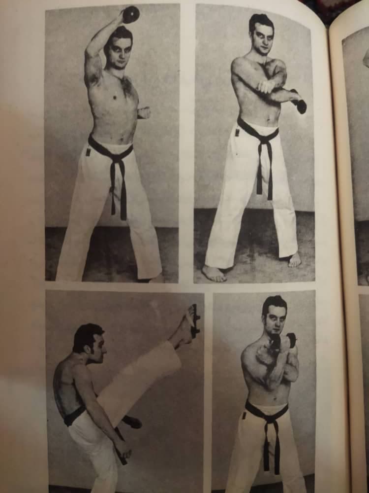 آموزش هنرهای رزمی ترکیبی و سبکی حمزه شیران پاپی در دزفول