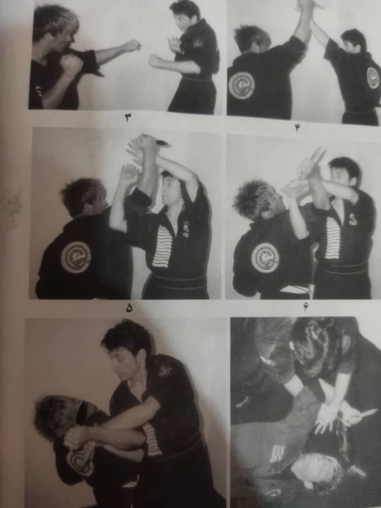 آموزش هنرهای رزمی ترکیبی و سبکی حمزه شیران پاپی در دزفول