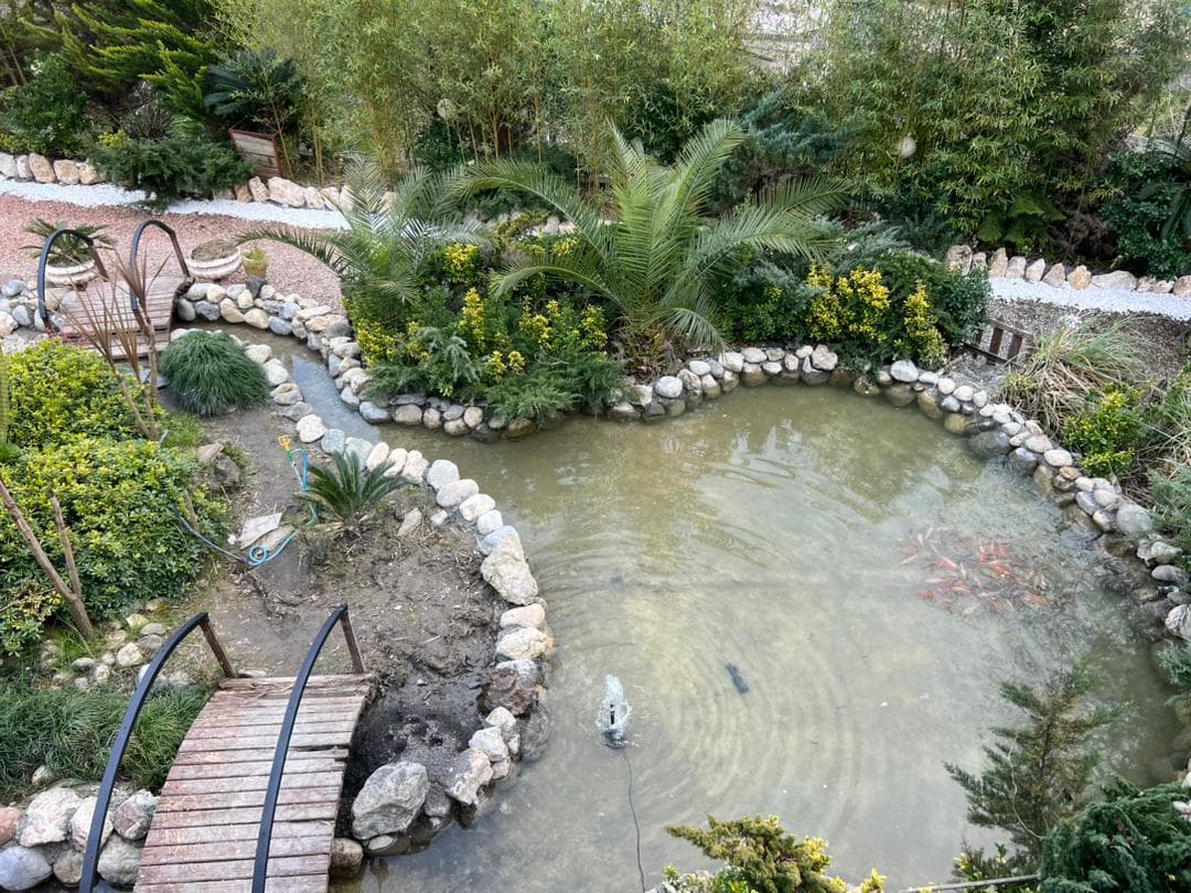 اجاره ویلا و کلبه استخردار جنگلی ریاحی در رامسر