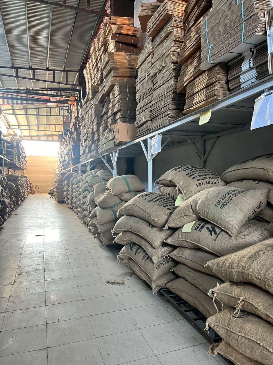 نمایندگی پخش عمده قهوه ویبرنس کاکو شیرازی در ساری