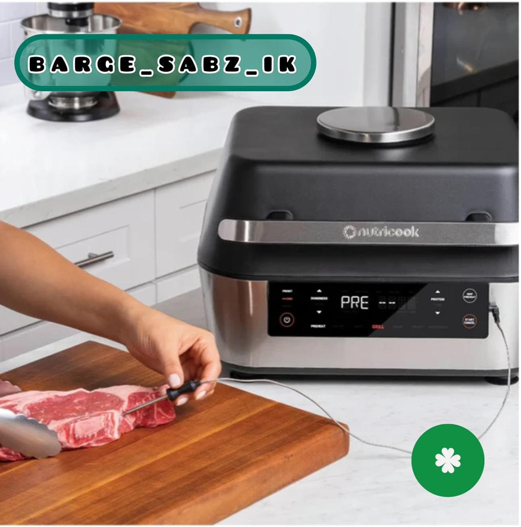 نمایندگی فروش محصولات هواپز و شیکر نینجا Ninja برگ سبز در تختی رشت