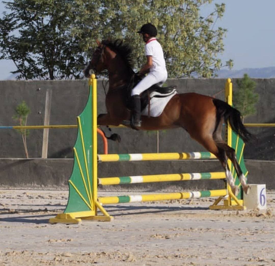 پرورش اسب و سوارکاری کمند در آران و بیدگل