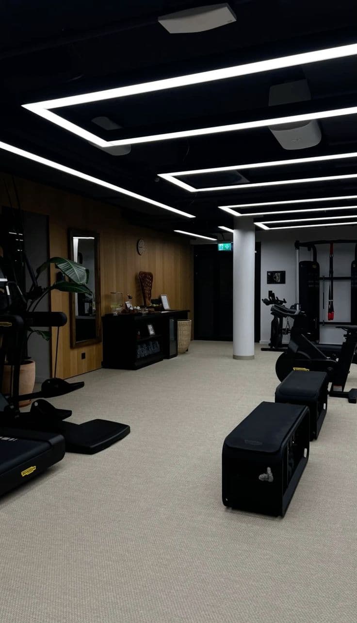 تولید و پخش لاین نوری و لوستر ال ای دی لاینر شاپ به مدیریت رضایی در اصفهان