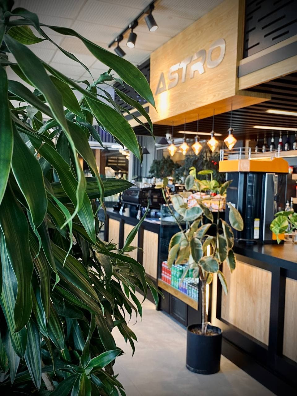 کافه آسترو خانه دریا شهرستان سرخرود